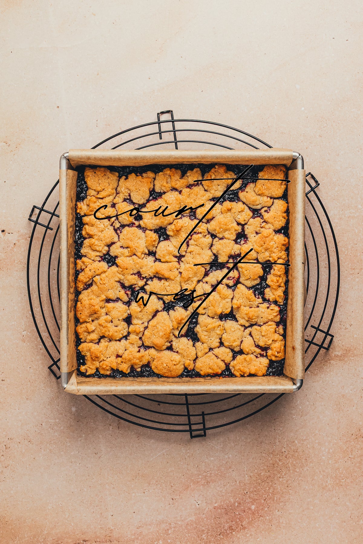 Blackberry Crumble Bars (Exclusive Recipe)