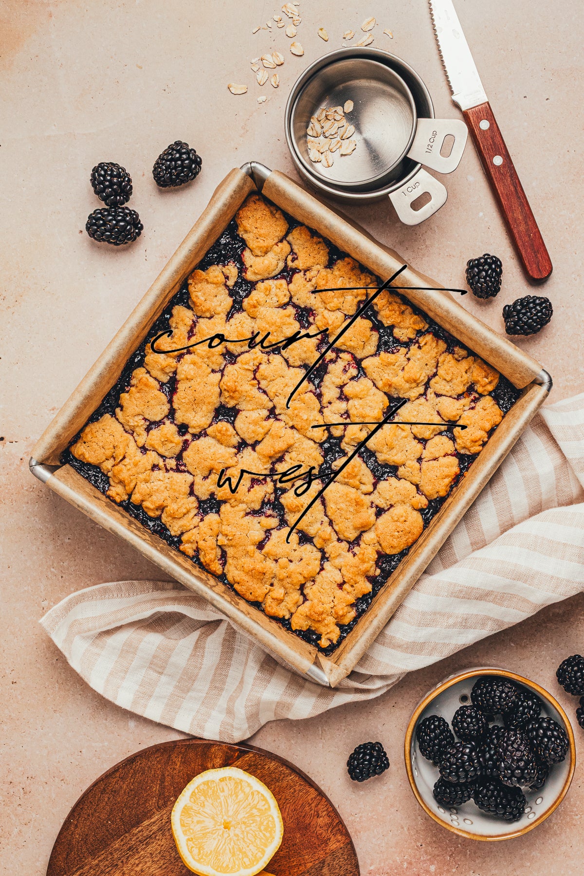 Blackberry Crumble Bars (Exclusive Recipe)