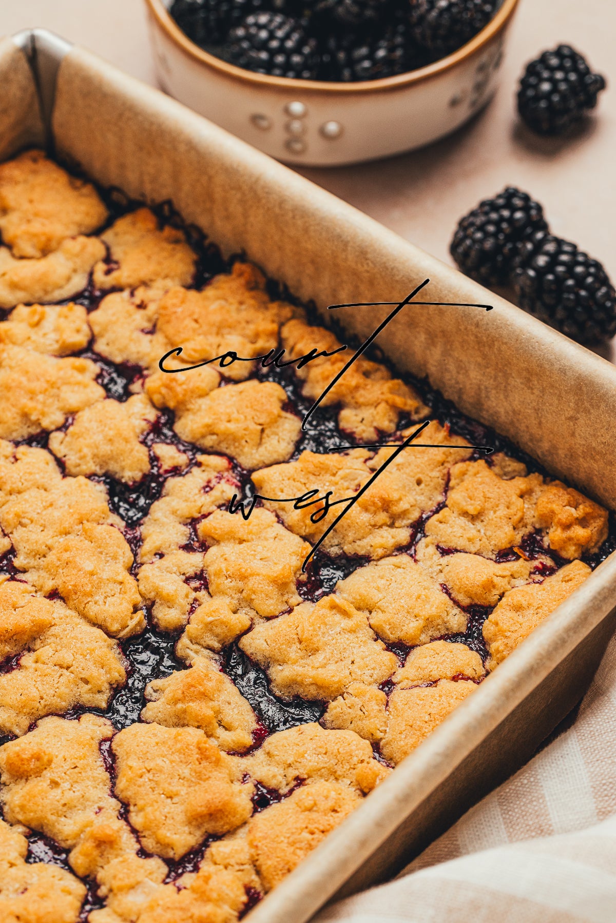 Blackberry Crumble Bars (Exclusive Recipe)