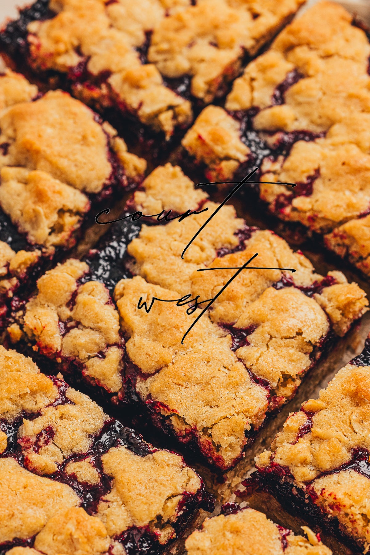 Blackberry Crumble Bars (Exclusive Recipe)