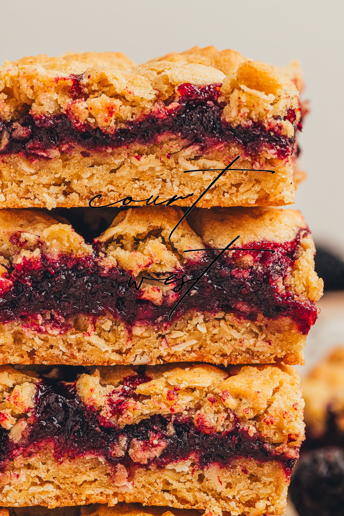 Blackberry Crumble Bars (Exclusive Recipe)
