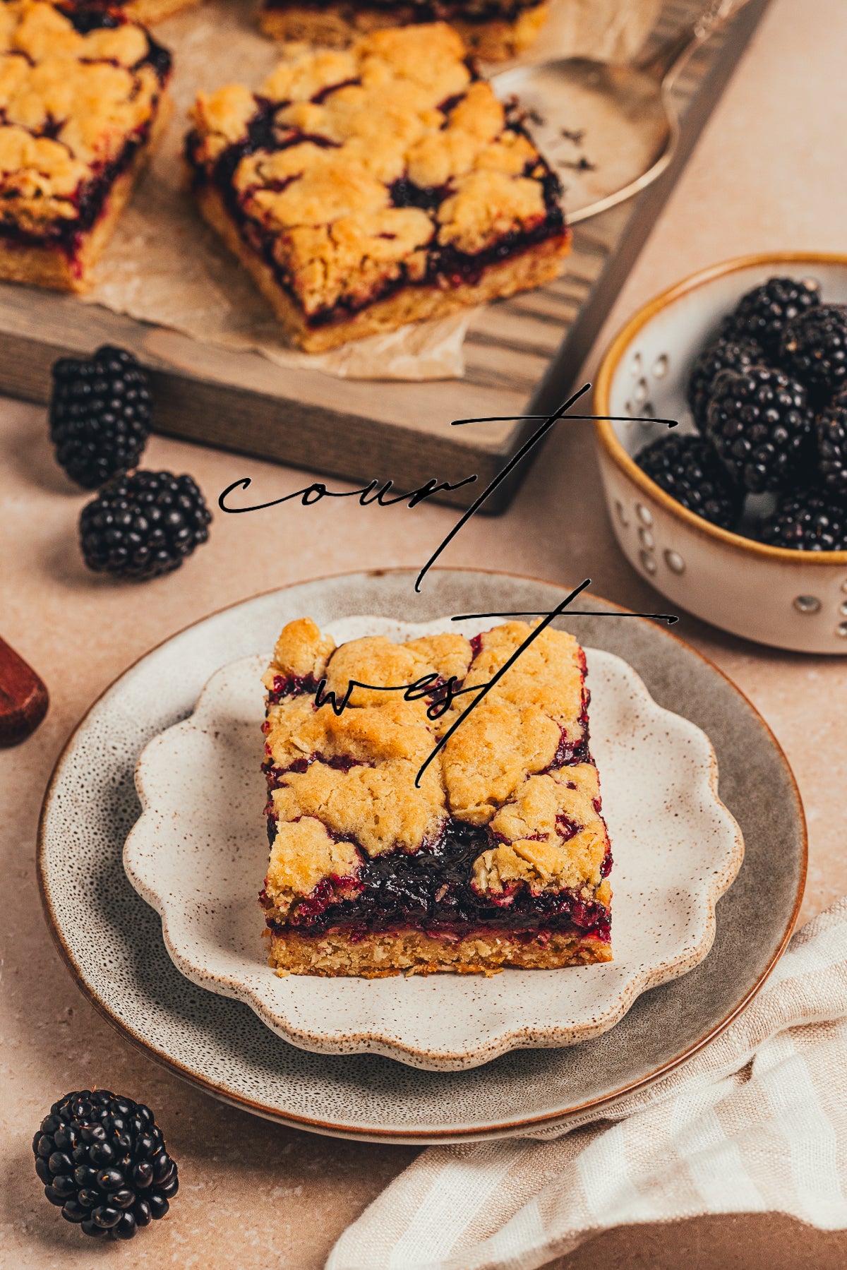 Blackberry Crumble Bars (Exclusive Recipe)