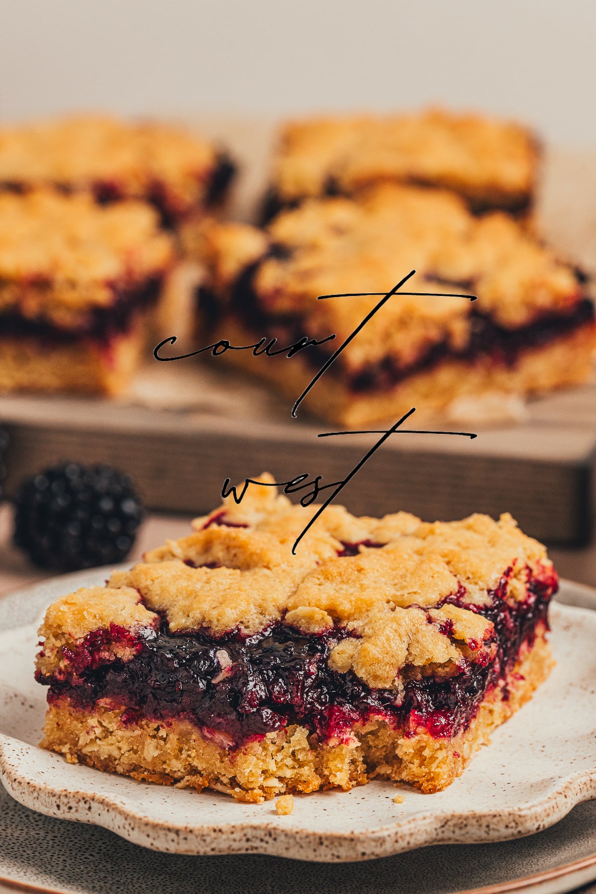 Blackberry Crumble Bars (Exclusive Recipe)